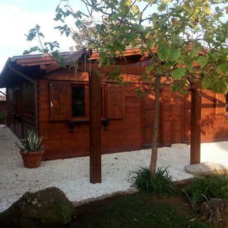 Il Casale Di Rosaria Hotel Zagarolo Bagian luar foto