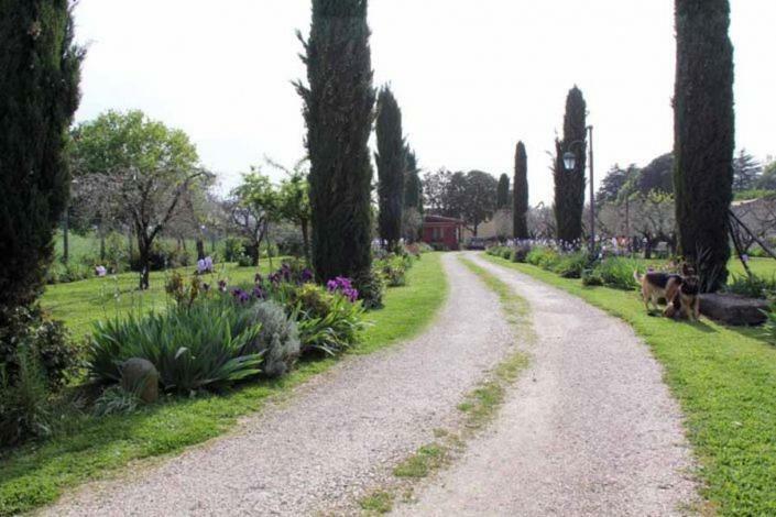 Il Casale Di Rosaria Hotel Zagarolo Bagian luar foto