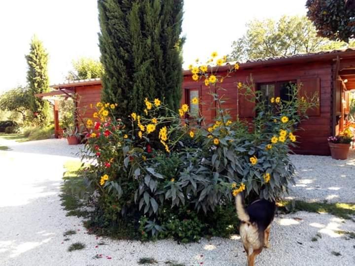 Il Casale Di Rosaria Hotel Zagarolo Bagian luar foto